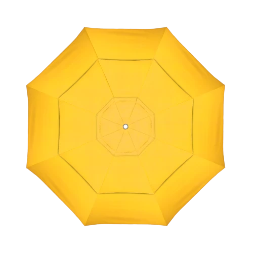 48024 Spectrum Daffodil