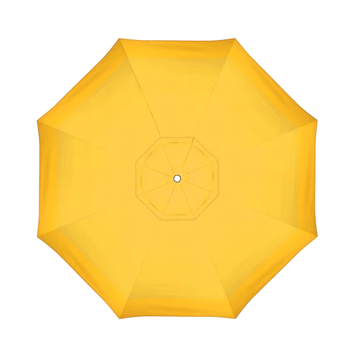 48024 Spectrum Daffodil