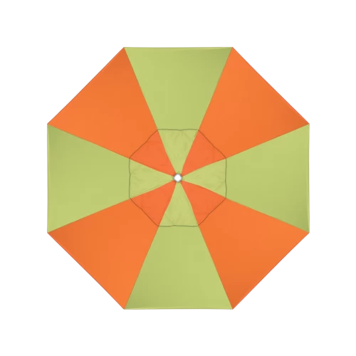 5405 Parrot