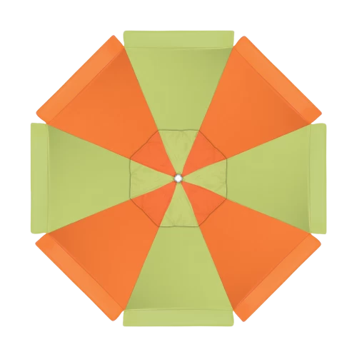 5405 Parrot