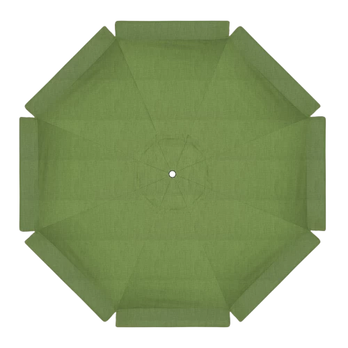 48022 Spectrum Cilantro
