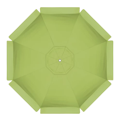 5405 Parrot