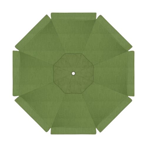 48022 Spectrum Cilantro