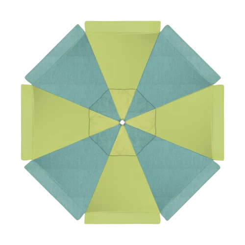 5405 Parrot
