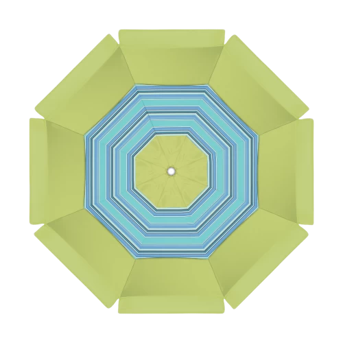 5405 Parrot