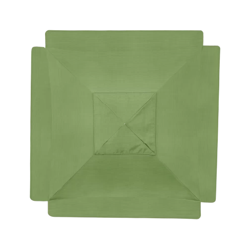48022 Spectrum Cilantro