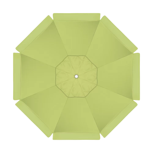 5405 Parrot