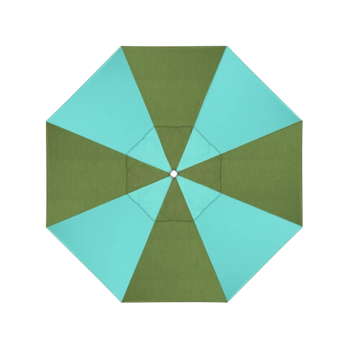48022 Spectrum Cilantro