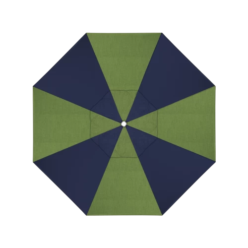 48022 Spectrum Cilantro