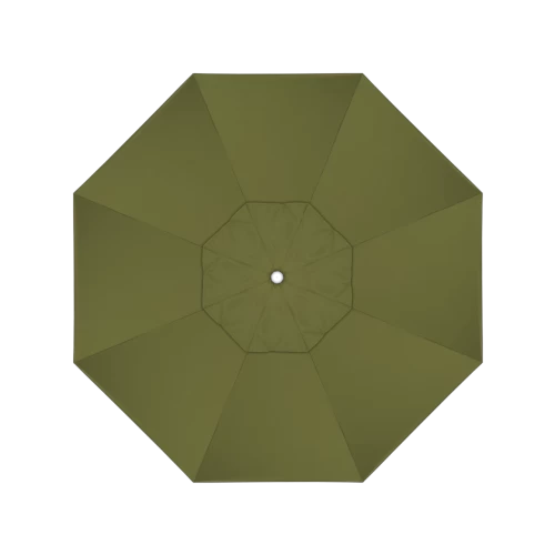 SA21 Palm