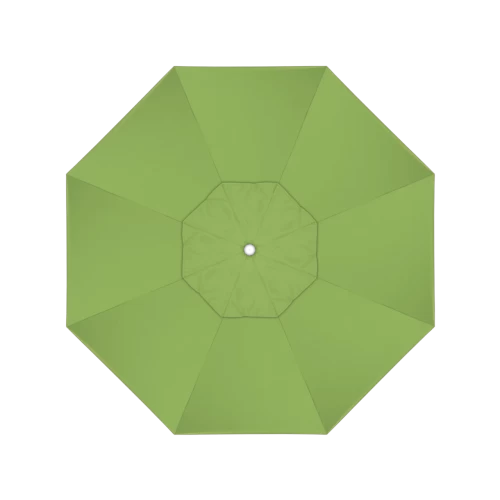 54011 Ginkgo